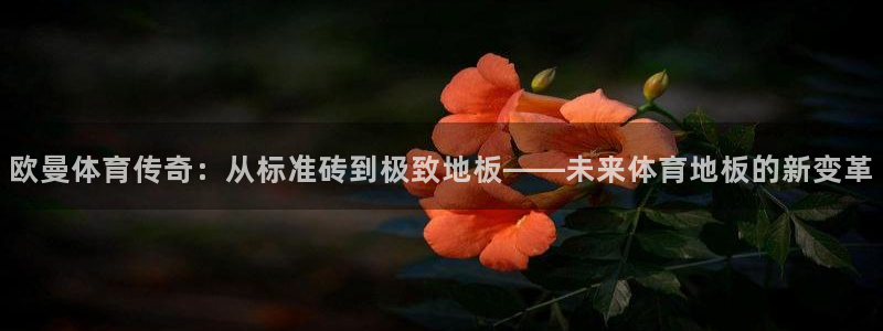 杏运平台注册：欧曼体育传奇：从标准砖到极致地板——未来体育地板的新变革