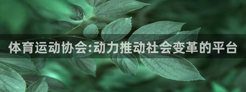 杏运招商：体育运动协会:动力推动社会变革的平台
