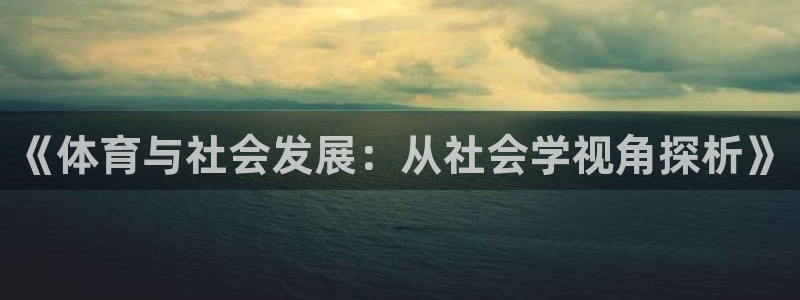 杏运新能源汽车厂家在哪里：《体育与社会发展：从社会学视角探析》