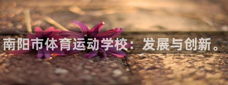 杏运体育官网登录：南阳市体育运动学校：发展与创新。