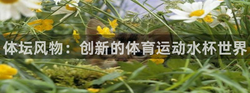 杏运体育注册登录入口：体坛风物：创新的体育运动水杯世界