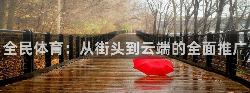 杏运体育凯捷代理注册：全民体育：从街头到云端的全面推广