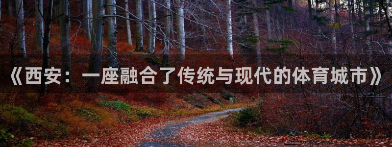 杏运汽车官网：《西安：一座融合了传统与现代的体育城市》