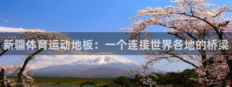 杏运股份：新疆体育运动地板：一个连接世界各地的桥梁