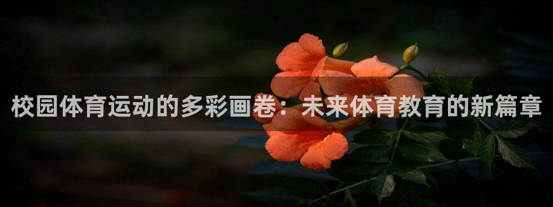 杏运4：校园体育运动的多彩画卷：未来体育教育的新篇章