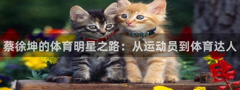 杏运f凯捷注册：蔡徐坤的体育明星之路：从运动员到体育达人