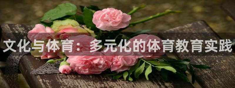 杏运娱乐注册：文化与体育：多元化的体育教育实践