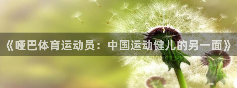 杏运体育注册代理：《哑巴体育运动员：中国运动健儿的另一面》