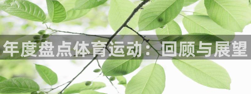 杏运体育注册：年度盘点体育运动：回顾与展望