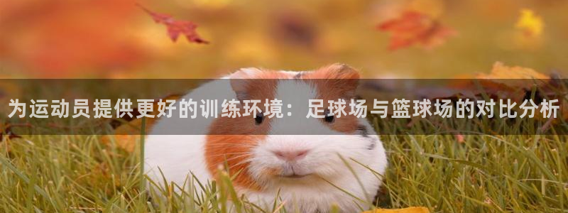 杏运2体育：为运动员提供更好的训练环境：足球场与篮球场的对比分析