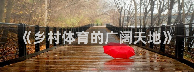 杏运体育网页版入口：《乡村体育的广阔天地》