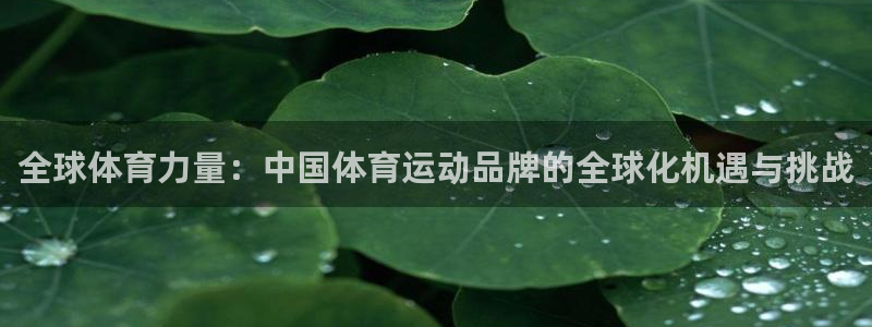 杏运体育平台开号链接：全球体育力量：中国体育运动品牌的全球化机遇与挑战