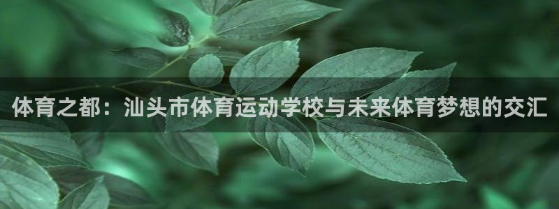 杏运：体育之都：汕头市体育运动学校与未来体育梦想的交汇
